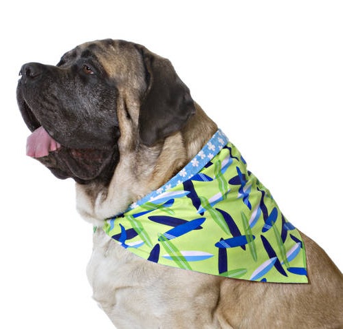 High quality, doube-sided dog bandanas in sizes from toys dogs all the way up the large breed dogs!