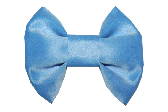 Satin bowties for dogs