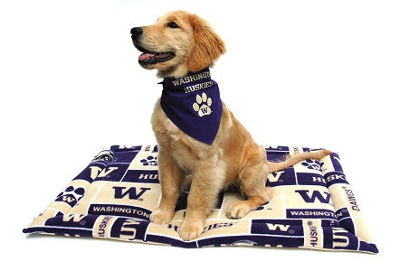 High quality Washington Sports Blankets and sports team accessories!